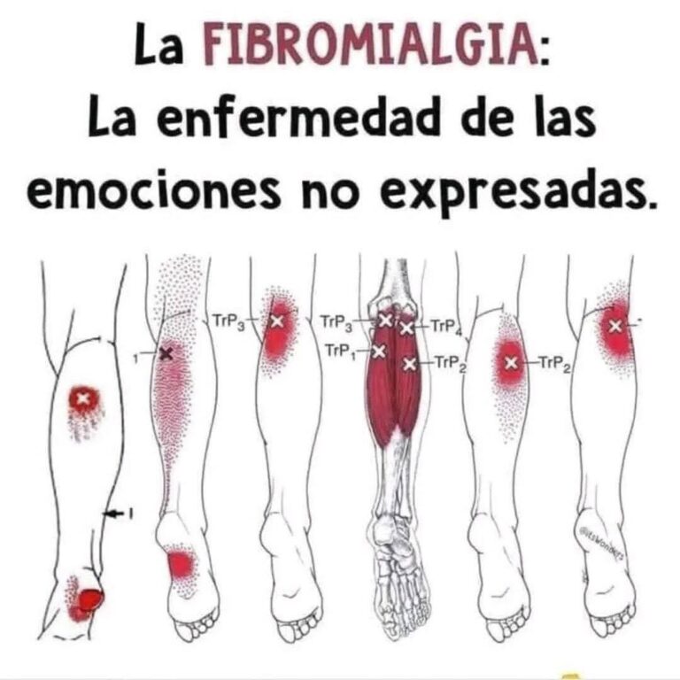 FB_IMG_1751594749142